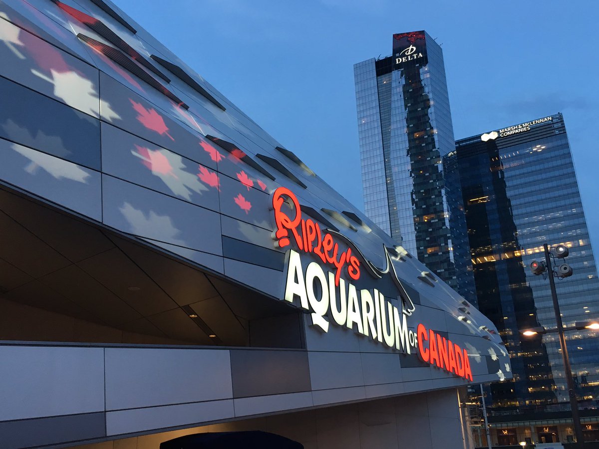 JaimeDamak's tweet photo. What a beautiful evening in #Toronto. Perfect for some family fun. 😊 #presstrip #seetorontonow #deltatoronto https://t.co/UEUZaqF941