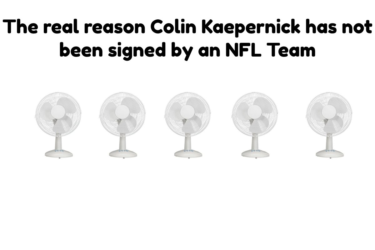 spiddit's tweet image. Truth