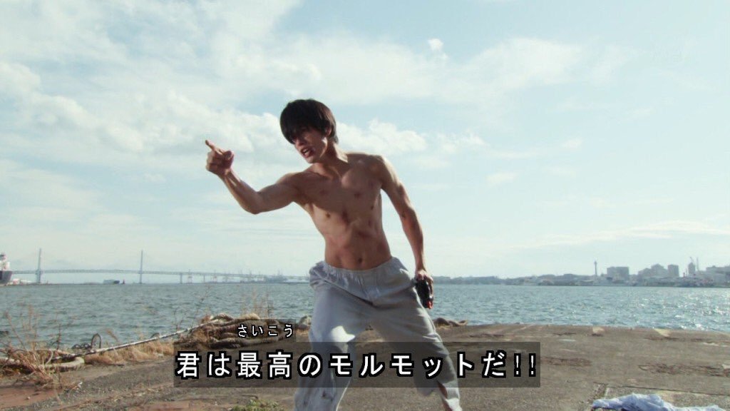 モルモット界にも 帰宅ラッシュ があった 逆走したり 渋滞したり モフモフしたり Togetter