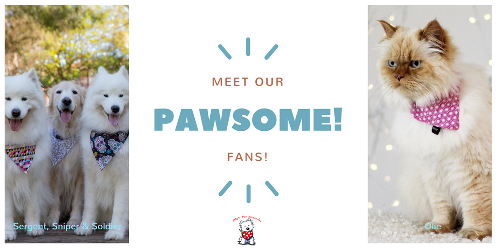 WearMilos's tweet photo. Meet Sargent, Sniper, Soldier &amp; Olie...our pawsome fans!! #wearmilos #bandanasforacause (MM) https://t.co/bHb82lrDjO