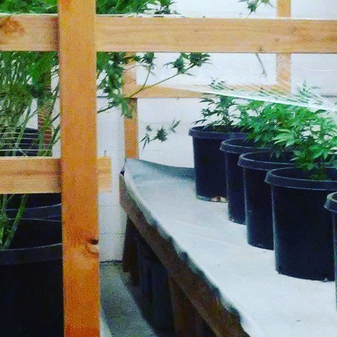 greendoororegon's tweet photo. New project.. https://t.co/oO3jytVrEQ