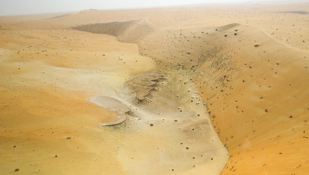 さいたま改２ Sur Twitter アラビア半島のネフド砂漠西部の古代湖跡近辺から46の先史遺跡発見 T Co Is4zo32uut 発掘された遺物は180万 25万年前の旧石器時代にまで遡るとの研究結果 現在は生息していないジャガーやゾウの化石を含む動物化石もいくつかの場所