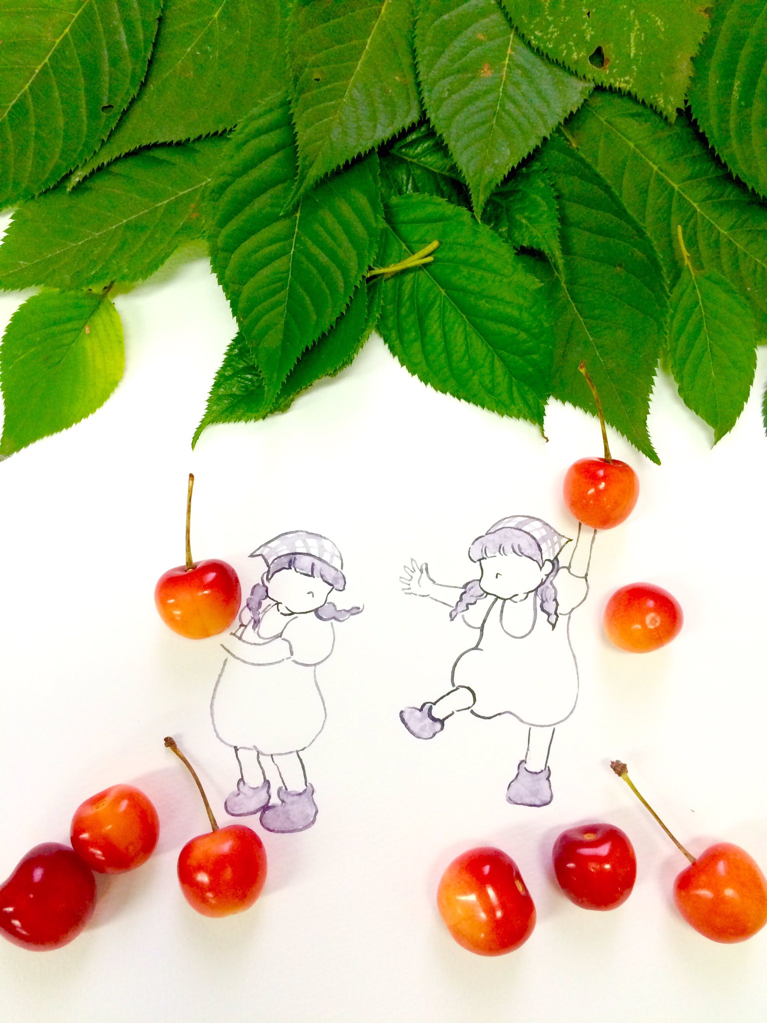 はな言葉 葉菜桜花子 新刊発売 サクランボ祭り 収穫の喜び 花言葉は 小さな恋人 幼い心 T Co 6cxgm2vaxc Twitter