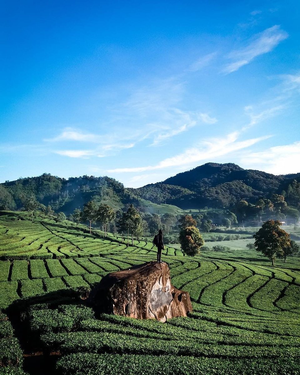 Weekend getaway captured by adityast_!

This is Bandung, a city where you can find anything to release the stress away.

#TGIF #Weekend