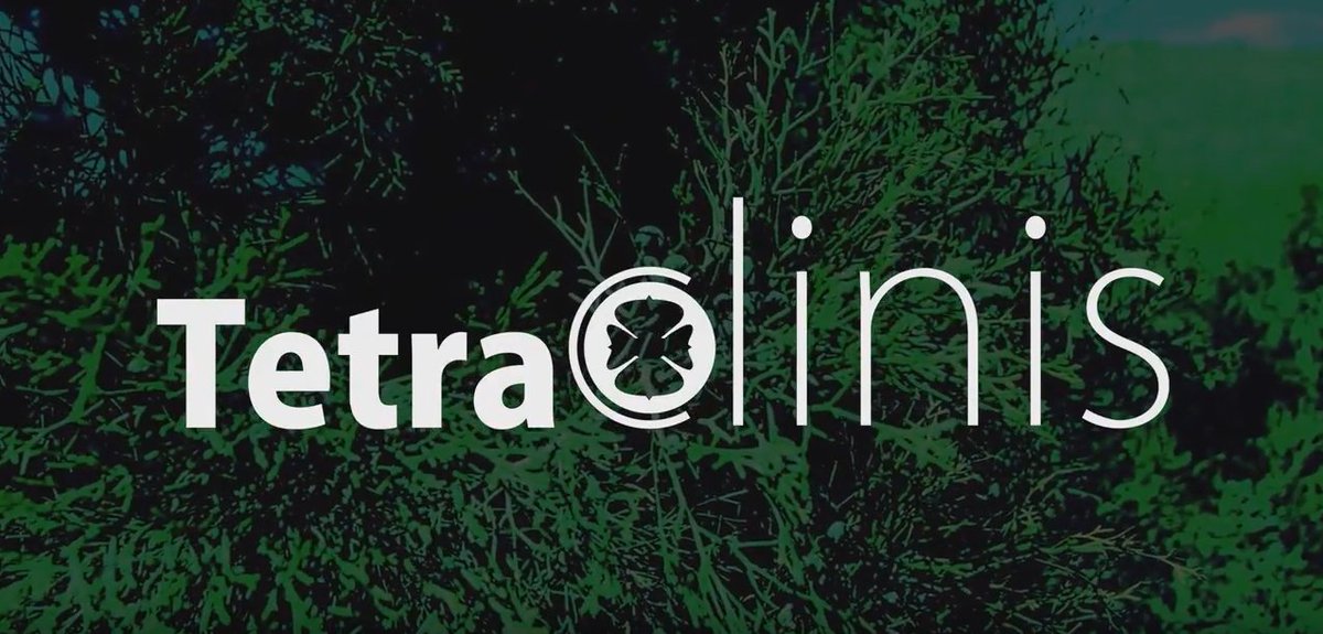 VIDEO sobre el proyecto europeo #LIFE #Tetraclinis Europa #LifeTetraclinisEU, editado por compañeros de <a href="/biovisual/">Biovisual</a> goo.gl/hDZEQ9