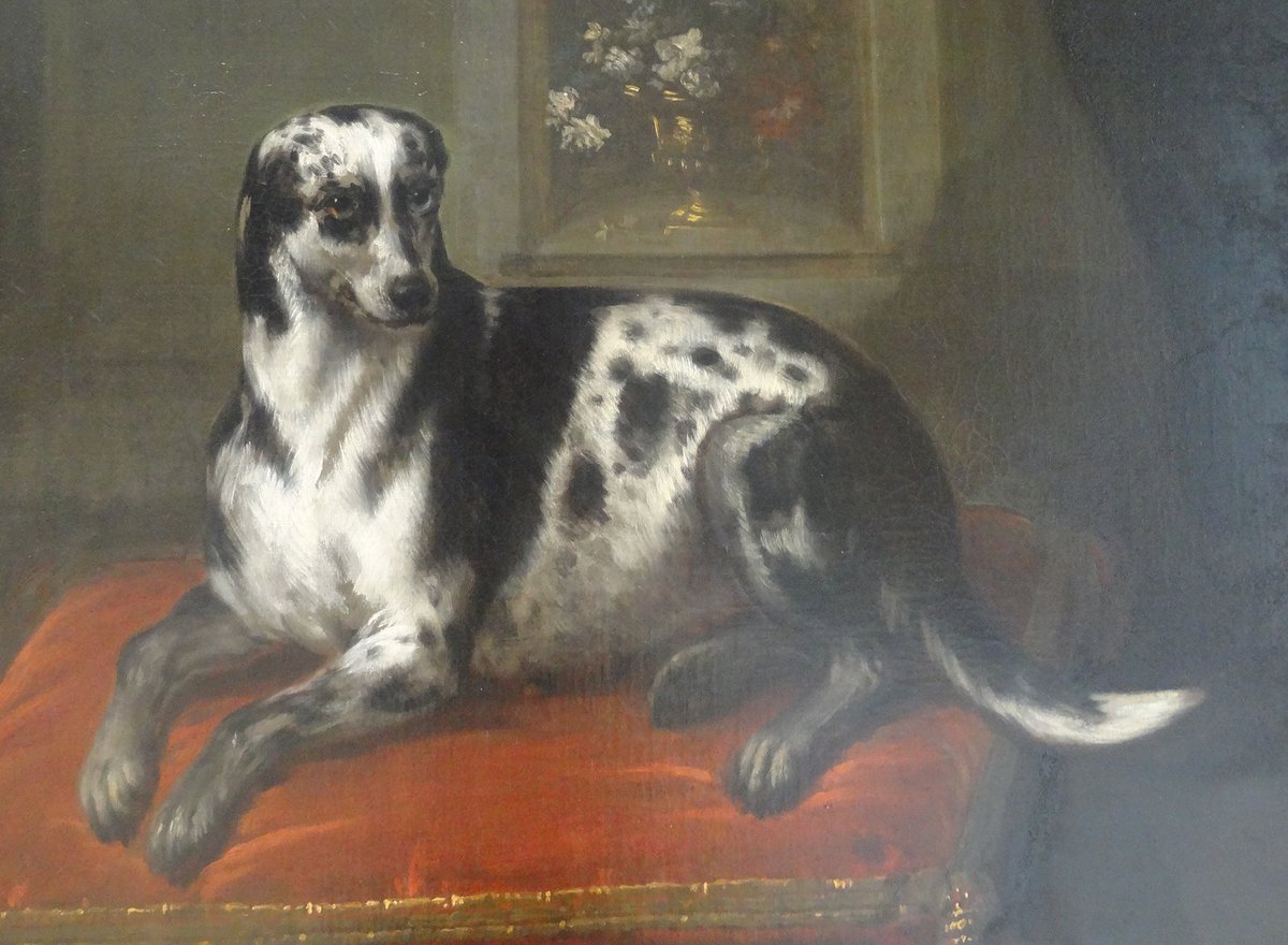Our Portland Collection pick of the week is this painting of Casey the dog, painted around 1715 by John Wootton. #dogsinmuseums