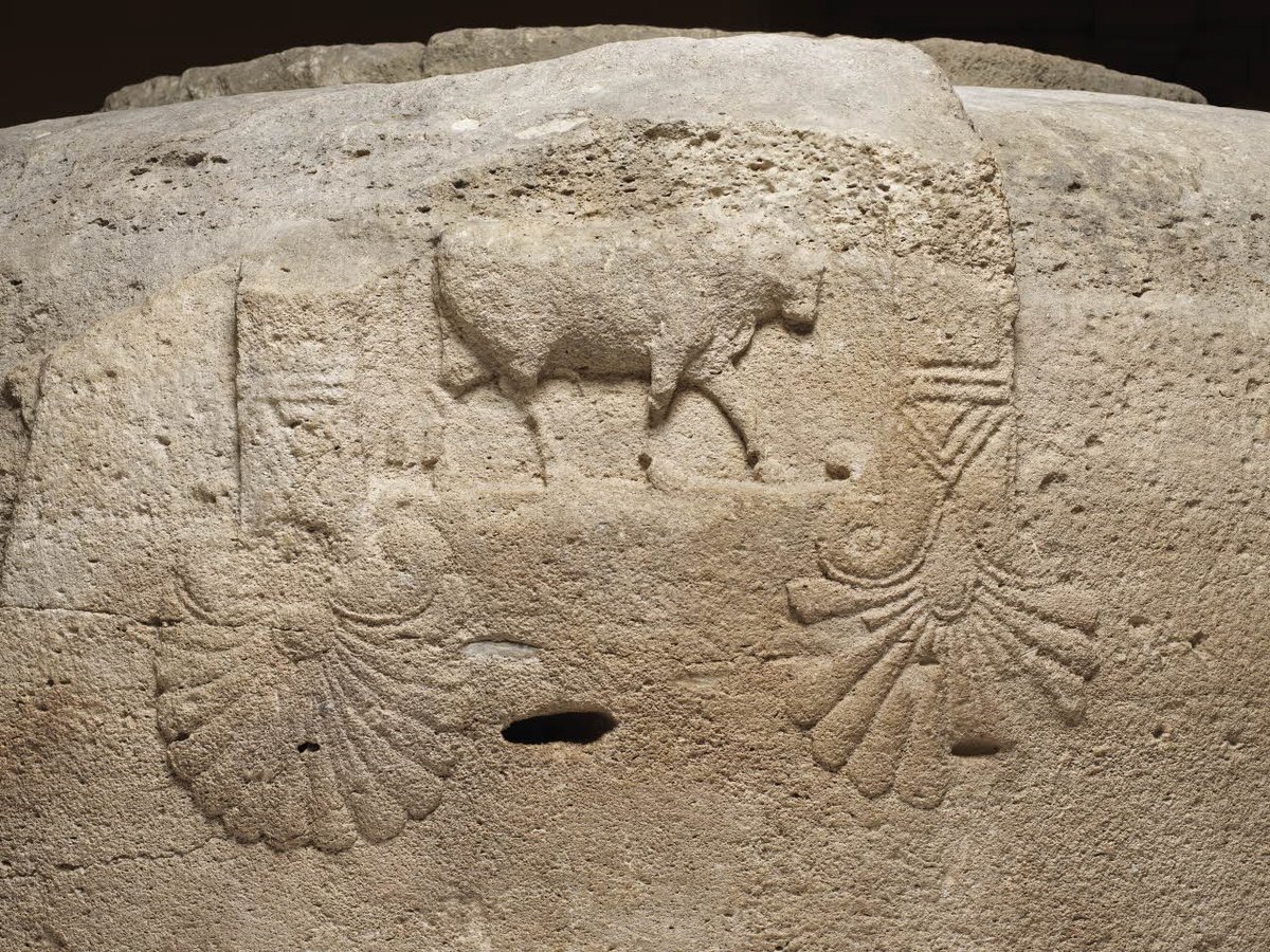 MuseeLouvre's tweet image. [#UnJourUneOeuvre]
Vase d'Amathonte

☛ bit.ly/2vaJkxN
#AntiquitésOrientales