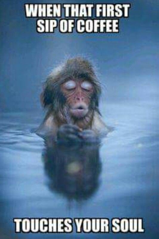 gordonstcoffee's tweet image. Our thoughts this morning 😀 #coffeeappreciation #caffienehit #coffeeclub