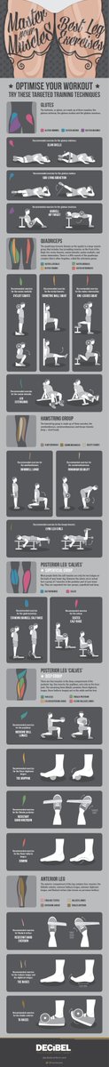 WeighLossDrinks's tweet photo. Master Your Muscles: Best Leg Exercises  https://t.co/OnSxTkS3Lm https://t.co/OVHDCOn7zd