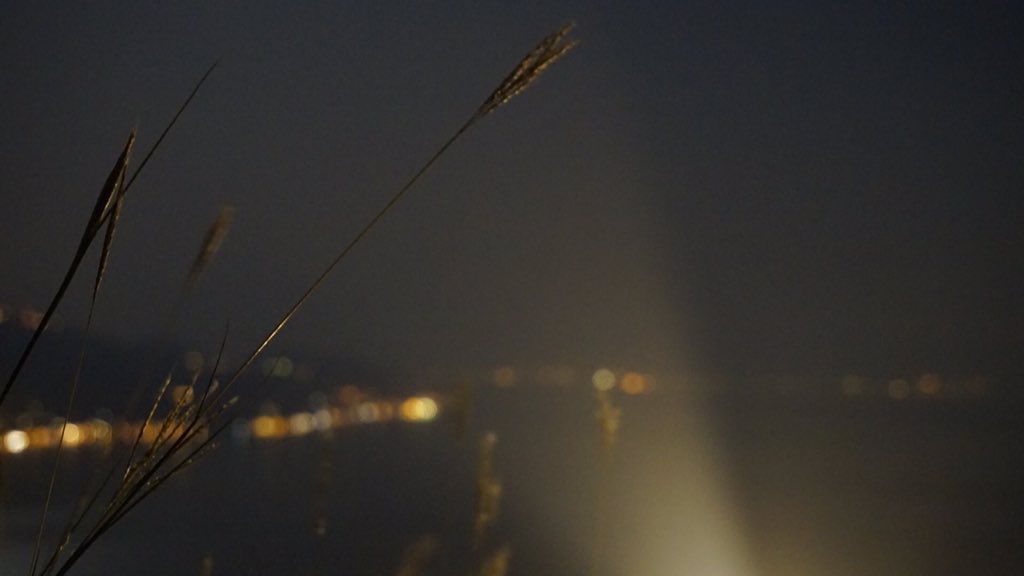 last_millennium's tweet photo. Took some pictures of the lake this night. Let me know What you think. #night #photography #longexposure #photo #nightlights https://t.co/CoEChYD548