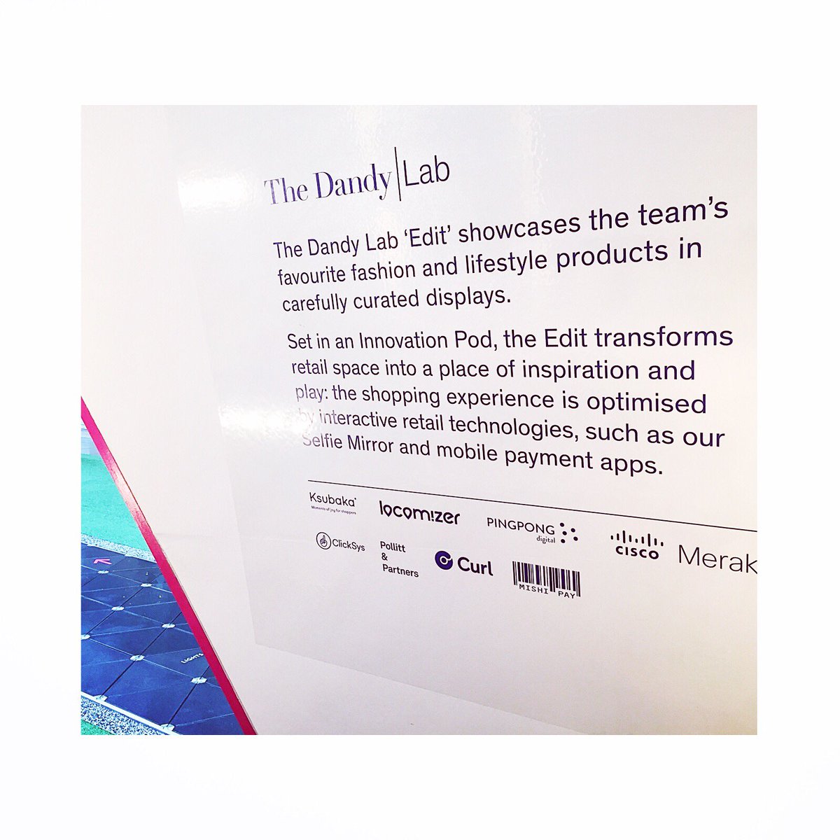 The Dandy Lab tweet media