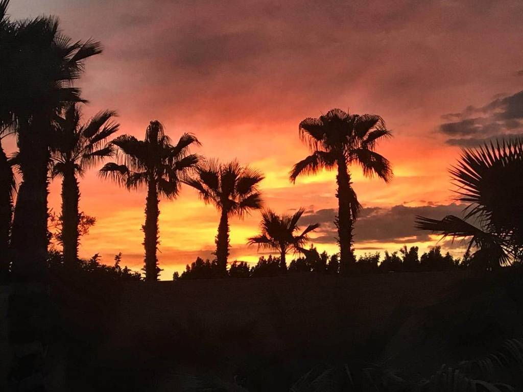 JackStylezMusic's tweet photo. Time to let the weekend begin!!
#palmtrees #sunset #jackstylezofficial https://t.co/A1lFKp6BVX https://t.co/rRiWII9ctz
