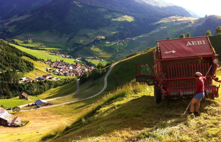 STMediaCH's tweet image. Neu! Freiwillig mithelfen in den Ferien ist auch in Schweizer Berggebieten möglich! 5-Tage-Programme  #Berghilfe bit.ly/2tHpMA8