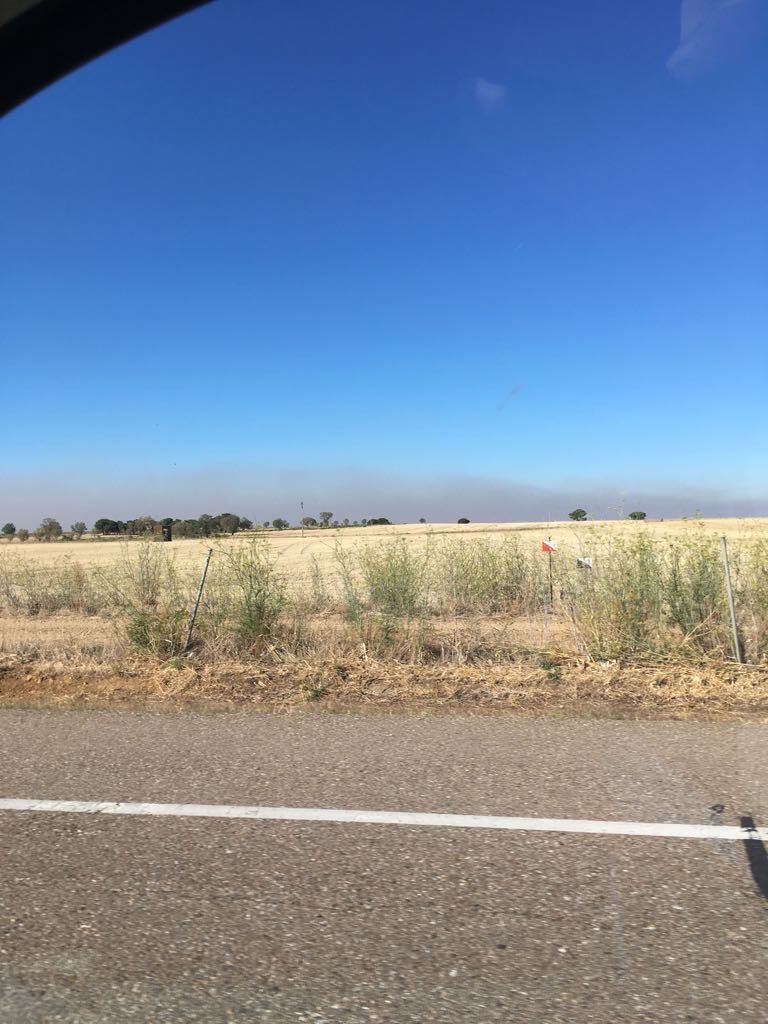 juventudtorre's tweet photo. ¿Tu también lo ves y hueles? ¿Dónde está el incendio? #MontesTorozos @BomberosVLL https://t.co/XiqHEUkYlO