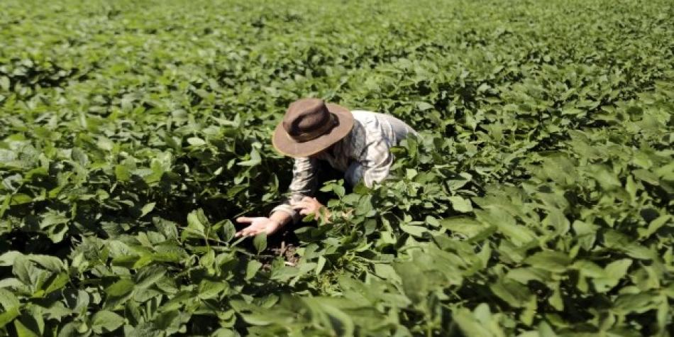 bitcoinsupdates's tweet image. New post (Agrobanco busca a responsables de la gestión anterior que otorgaron malos ...) has been published on  - e-latestnews.com/agrobanco-busc…