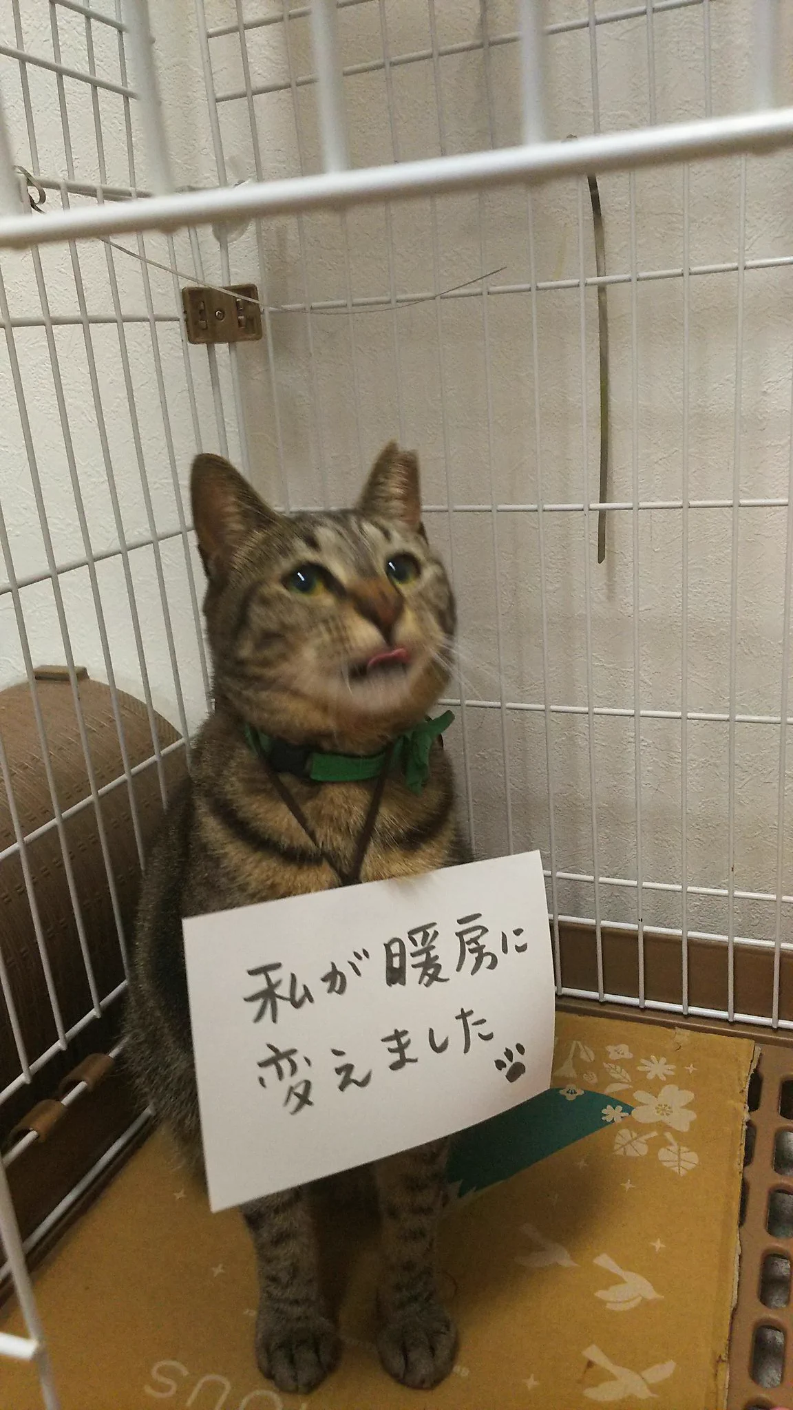 私が温度を変えましたwwなんか暑いと思ったら冷房→暖房になってたww