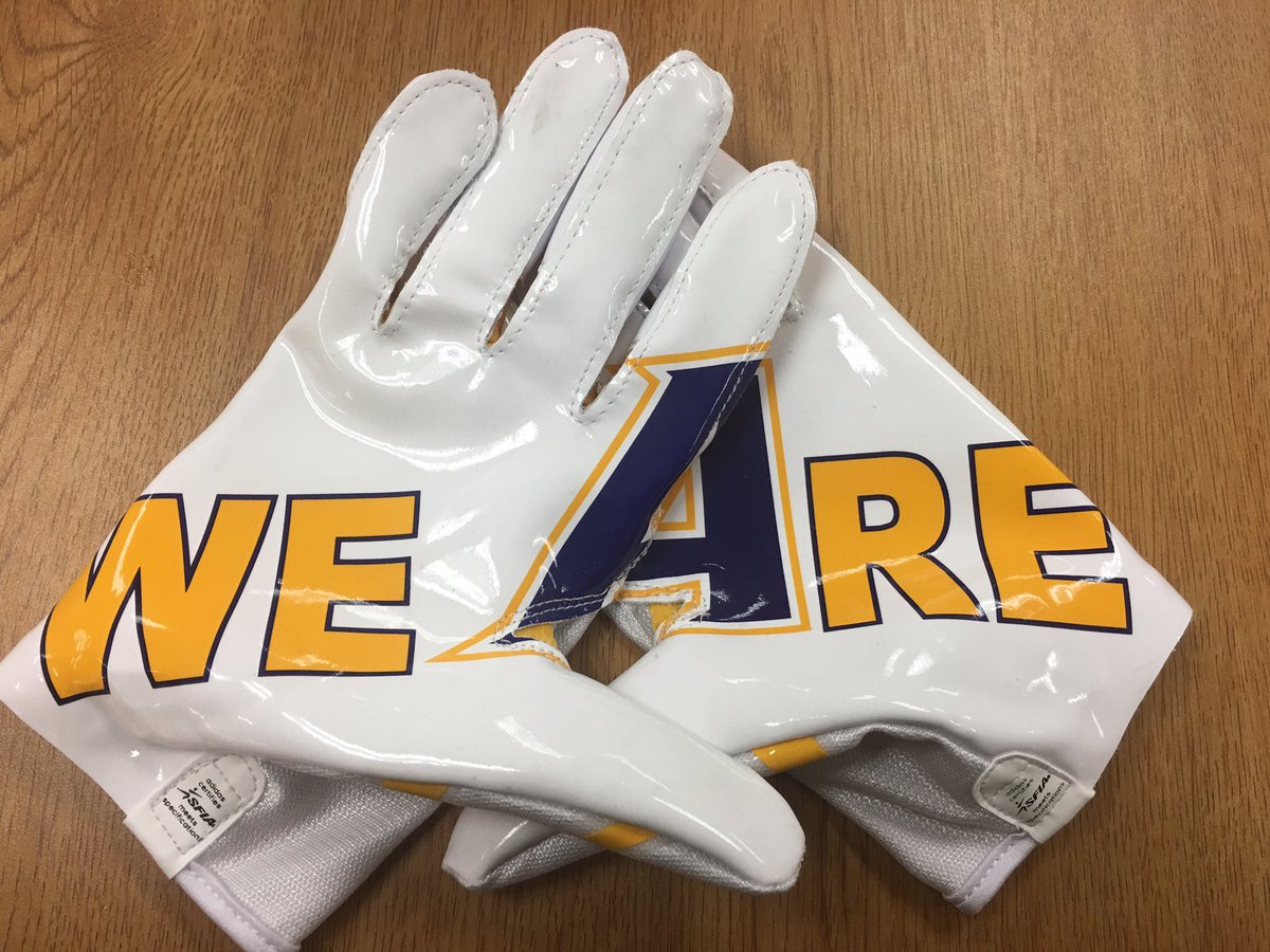 3 stripe life gloves