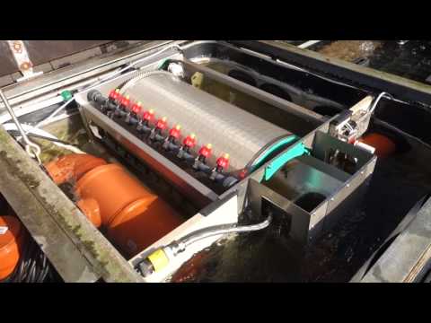 Trommelfilter Einhänger im Koiteich 80qm³ - koi-kontor.de/koiblog/tromme…