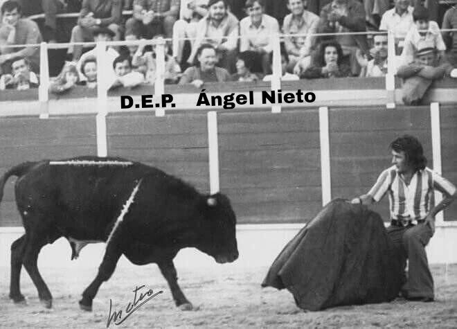 toros galache tweet media