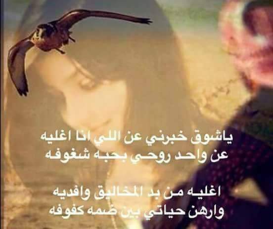 قاسم الزبيدي (@boo7al8wafy) on Twitter photo 
