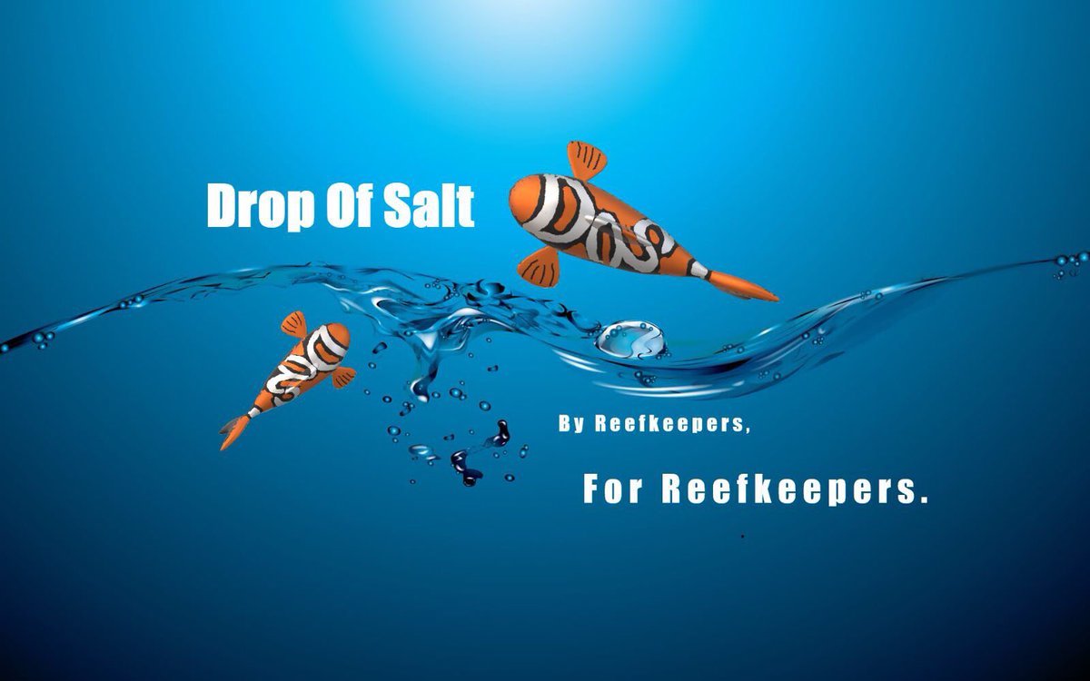 DropOfSalt tweet picture