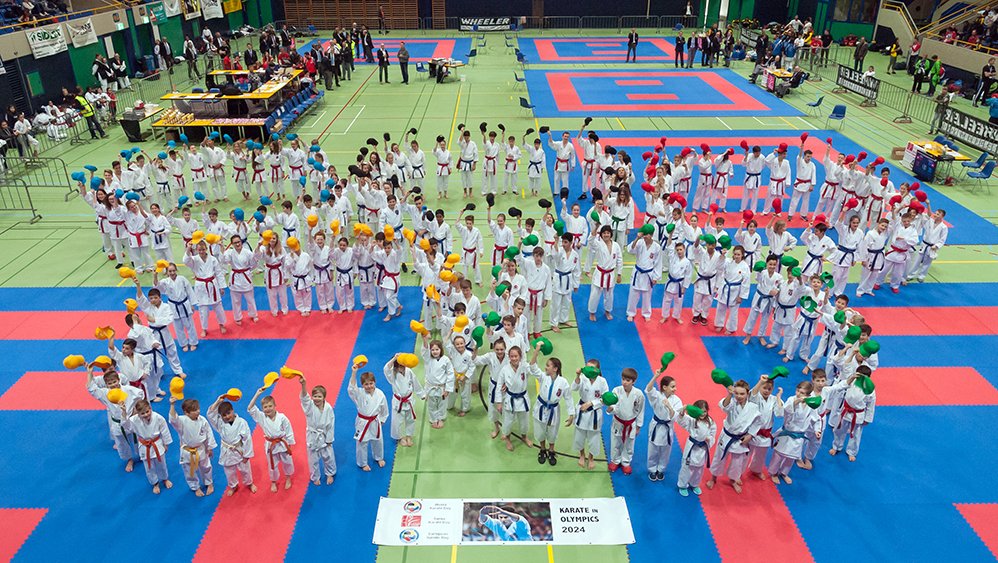worldkarate_wkf's tweet image. Karate commemorates one year of history-changing moment
bit.ly/2feChh0