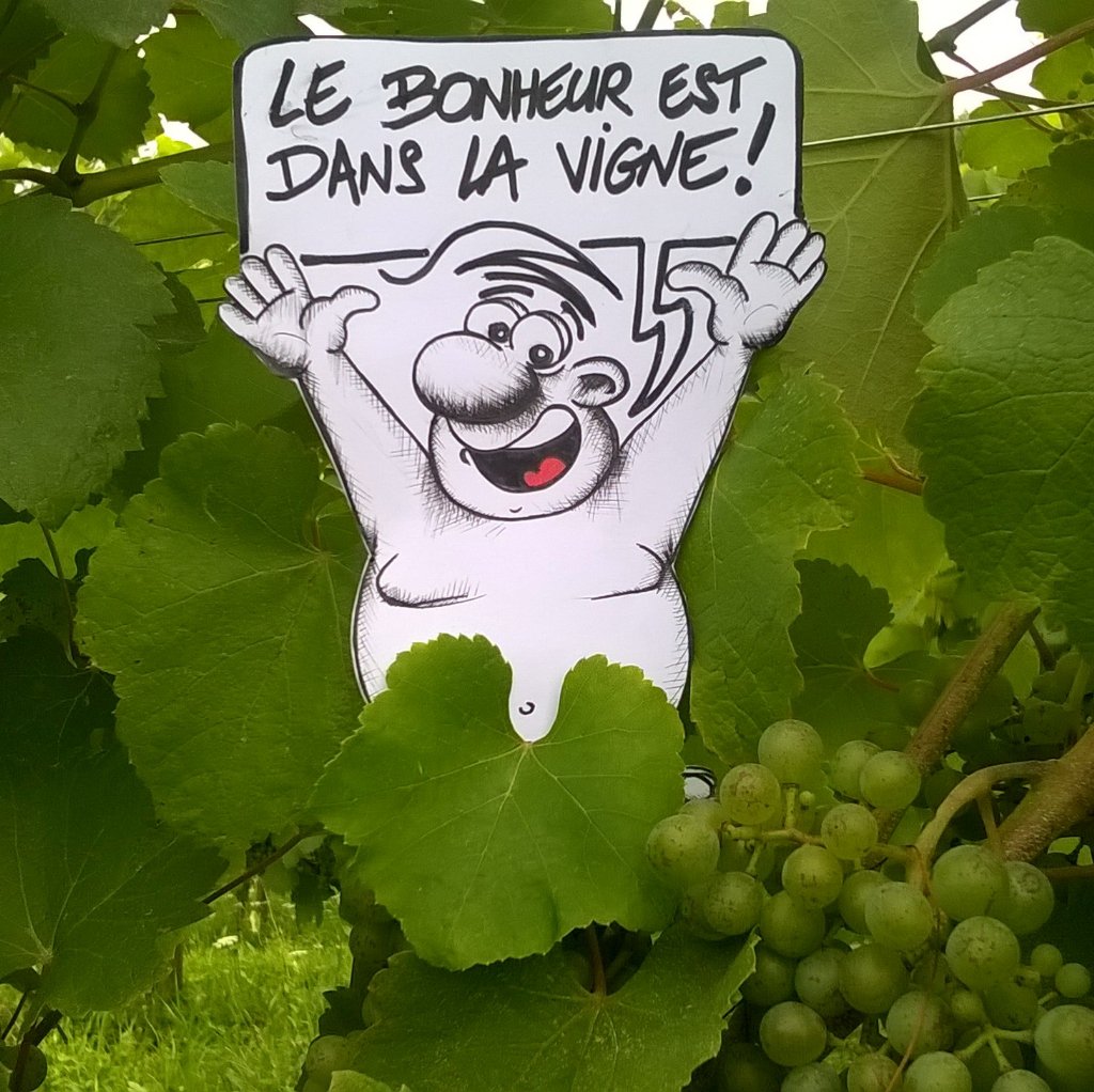 cyrilrtour's tweet photo. On vient comme on est....au domaine Vignau La Juscle!
#Jurançon #Bio #Valton https://t.co/OK7H67szJ4