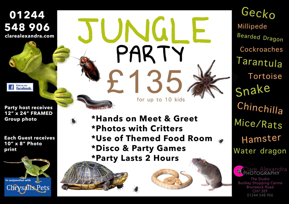 StudioBuckley's tweet image. #kidsparty #buckley #photographystudio #bugs #spiders #snakes #summerHolidayIdeas #dontMissOut #party #disco