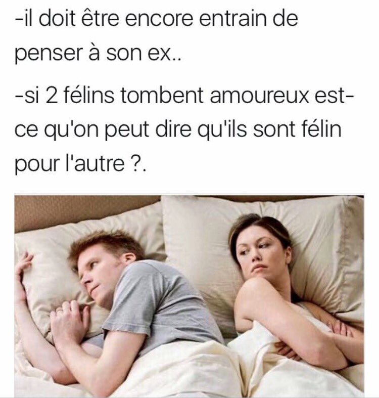 LesChatonsParis's tweet photo. 😹😹😹😻😻😻 https://t.co/DFreb7DOnC