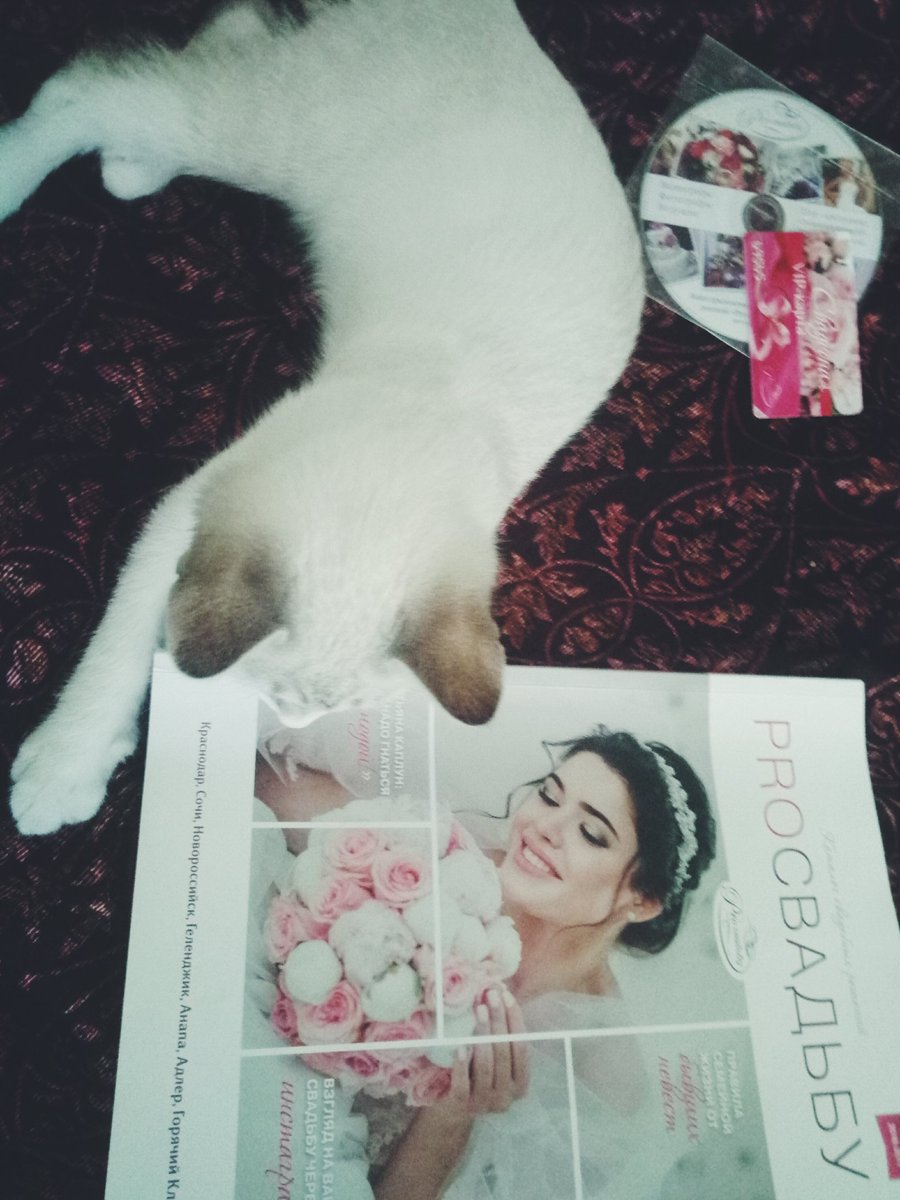 Arisha____ tweet picture