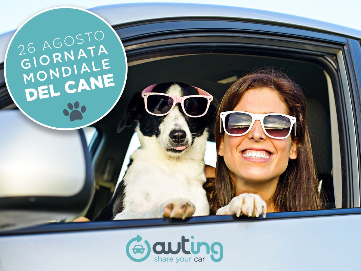 auting_IT's tweet photo. Domani è la #GiornataMondialedelCane . Scegli un'auto con il bagagliaio spazioso e regalagli una corsa in libertà fuori città con #Auting . https://t.co/xe7chihaiv