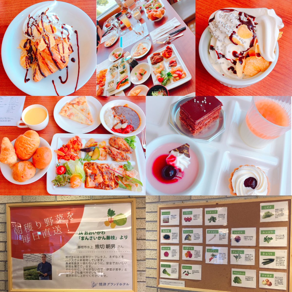 あいら 茶果菜 公式 در توییتر 8月3日に焼津グランドホテルでランチバイキングしてきました なんと まんさかんの新鮮なお野菜が使われてるんです トマトちゃんがすっごい甘くて美味しかったよぉ 全部のお料理が美味しかったよぉ また あいら 茶果菜 公式 در توییتر 8月3日に焼津グランドホテルでランチバイキングしてきました なんと まんさかんの新鮮なお野菜が使われてるんです トマトちゃんがすっごい甘くて美味しかったよぉ 全部のお料理が美味しかったよぉ また