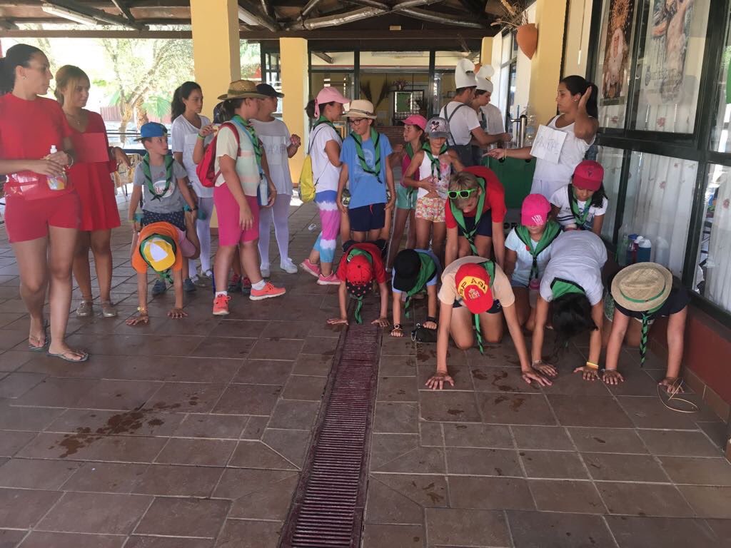 CAMPAMENTO VERA-CRUZ tweet media