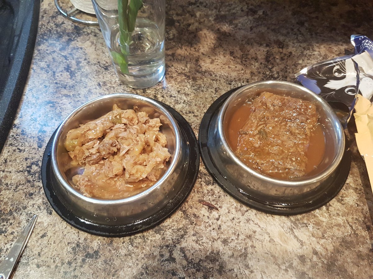 scoafie's tweet photo. Absolutely foul smelling pouch this morning.Same flavour but 1on right seems off.Hope the others are ok.@PurinaUK #Hungrycats#Nobreaky https://t.co/XVn99cY48q