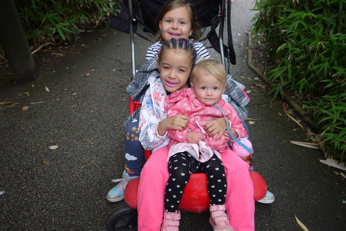 HomeStart_NB's tweet photo. Happy days. Home-Start families enjoying a day out at #ChesterZoo to celebrate 20 years of Home-Start Newcastle Borough 😀🦁🐵🐯🐢🐍 https://t.co/Oy2TgHWVjL