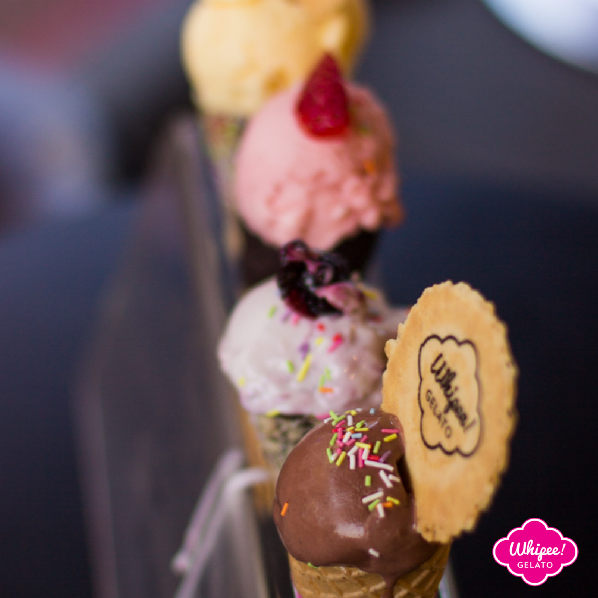 WhipeeGelato's tweet photo. Grab a scoop (or 4) of our delicious gelato! With over 60 flavours to choose from, you can’t go wrong... https://t.co/8o7fiywnkZ
