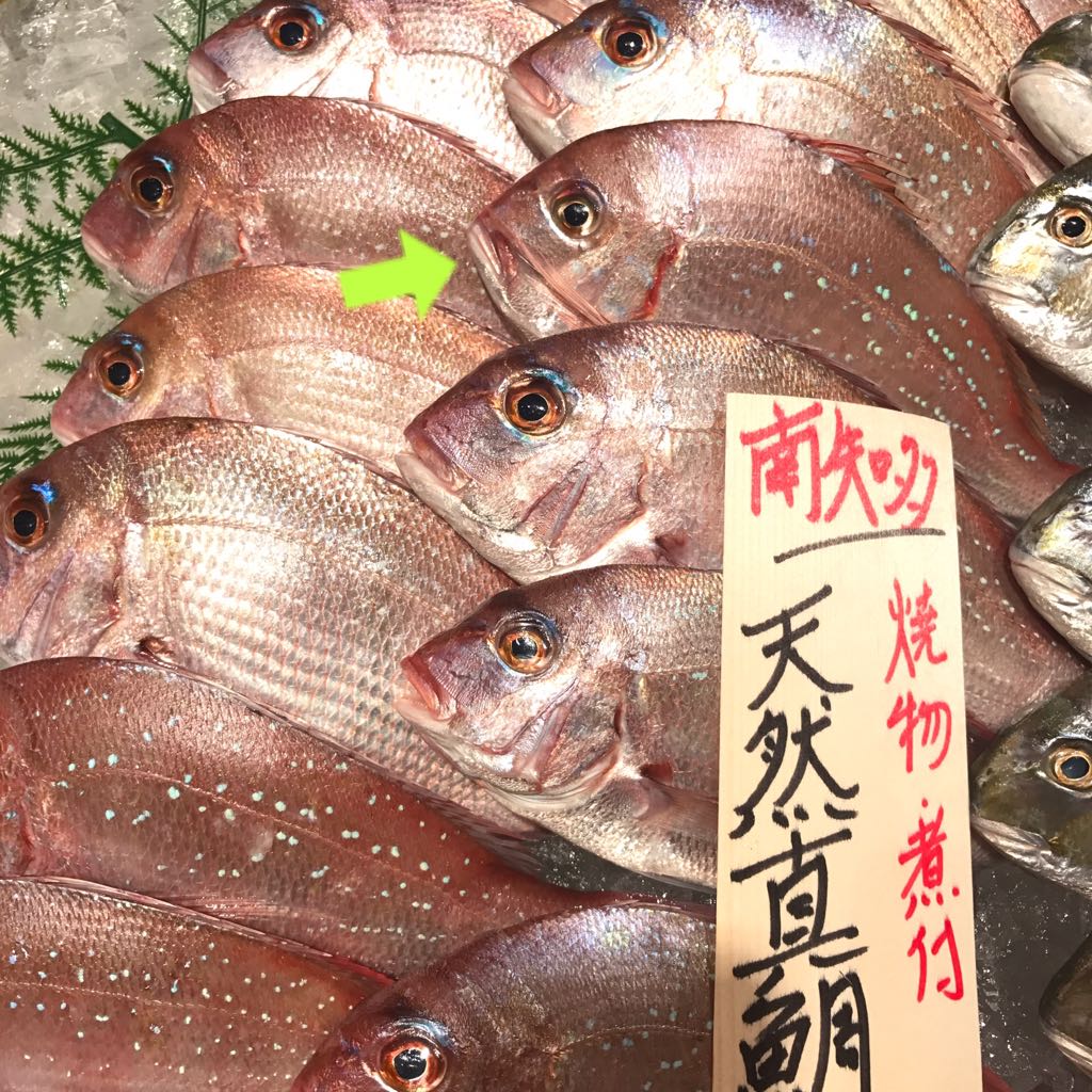 水野 裕子 マダイのふりしたチダイがこっそり チダイはあやかり鯛じゃなくてちゃんと鯛だから味に遜色はないけど旬がちょっと違う 魚屋さんでもうっかり間違える 鮮魚売り場で一番多い事例 本当によく似てるけど チダイはエラ蓋の端が血の