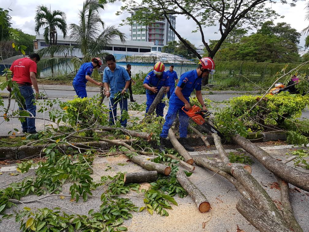 Dato Azmy,KP APM membantu anggota membersihkan pokok tumbang dalam perjalanan ke lokasi tugasan rasmi pagi tadi.
