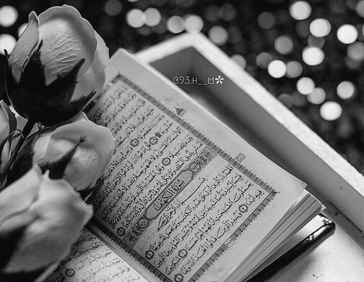 1m7ll's tweet photo. #يوم_الجمعه
أسأل الله أن لا يحرمني ولا يحرمكم في هذا اليوم  من :- رزقه ، وتوفيقه ، ورحمته ، ومغفرته ، ورضوانه ، وجنته ، وصحبة نبيه ﷺ https://t.co/JjTR6mtSD4