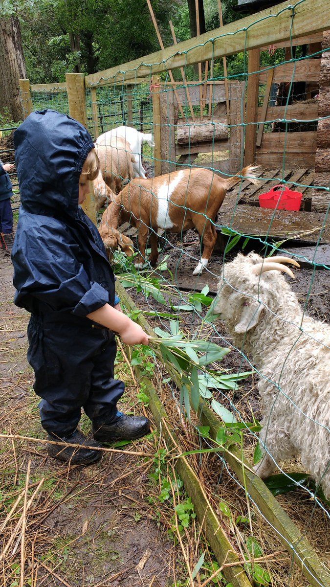 JRDiscoveryTree's tweet photo. Being ship wrecked @TortworthTrees proved to be fantastic fun for these pirates #pirates #forestschool #discoverytree https://t.co/gCvdIMqtua