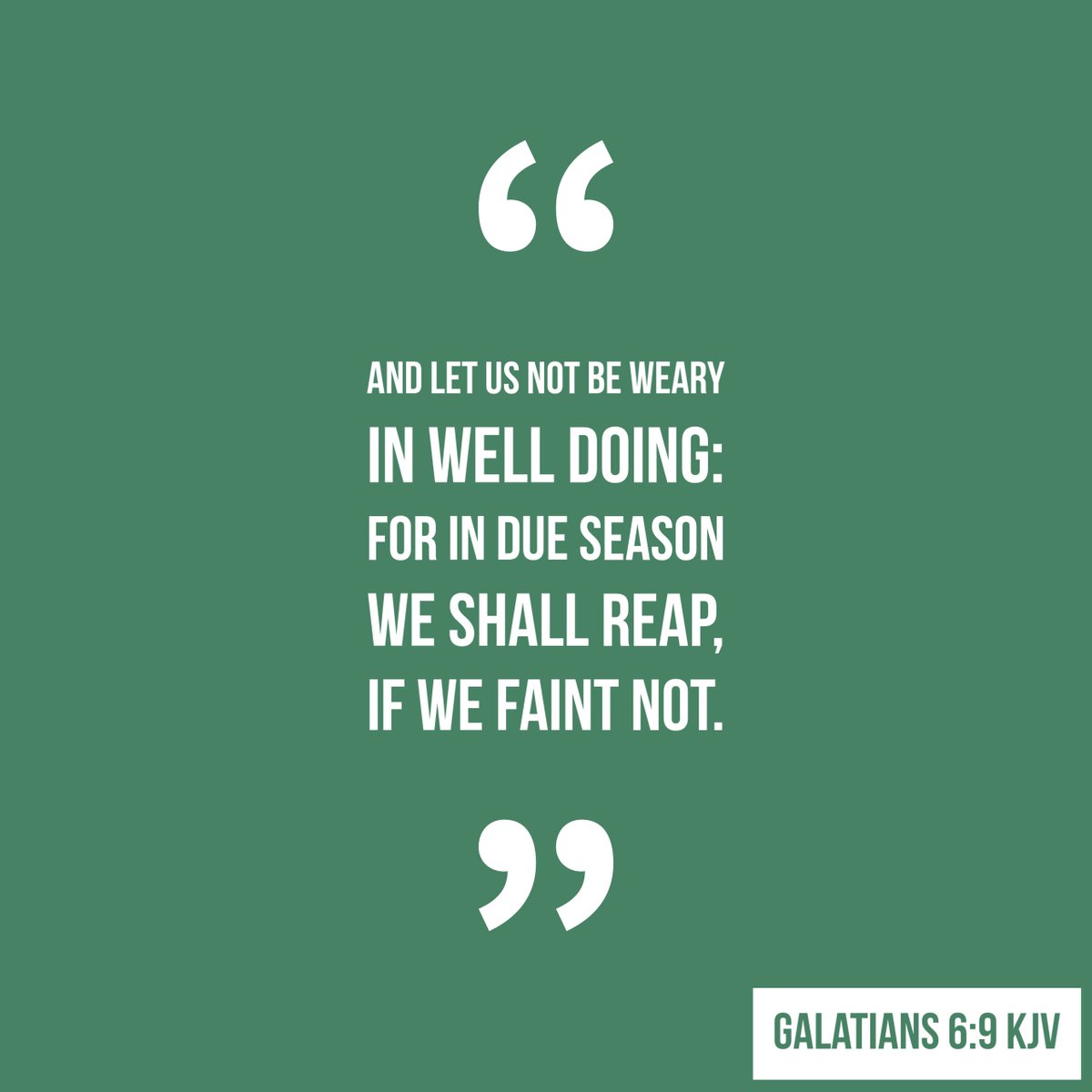 aljcbq's tweet photo. #BQpreview https://t.co/CWtrmicfLs