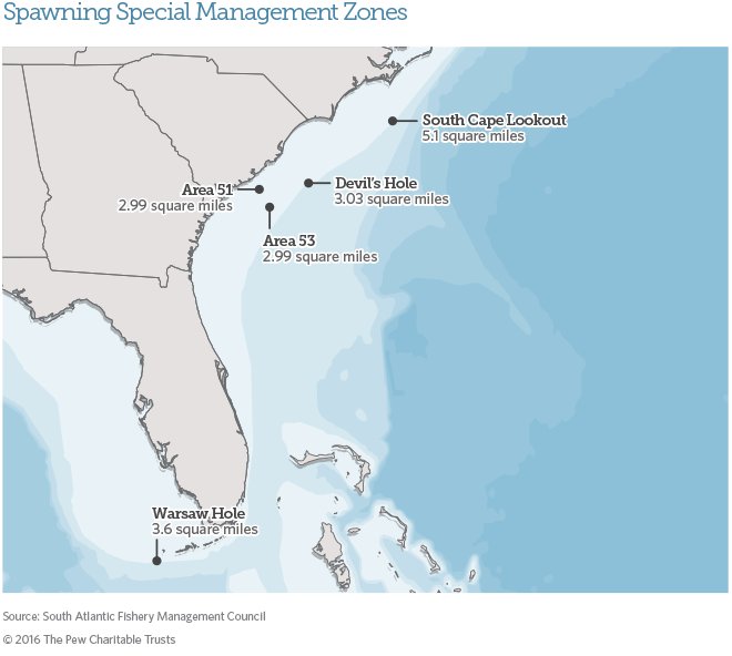 pewenvironment's tweet photo. Good news: These important areas where fish reproduce in the U.S. South Atlantic are now protected. https://t.co/qSR3H9hJGR https://t.co/pynUT4IiUf