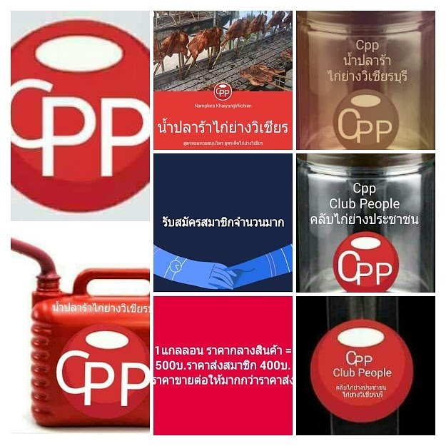 cppkaiyang tweet picture
