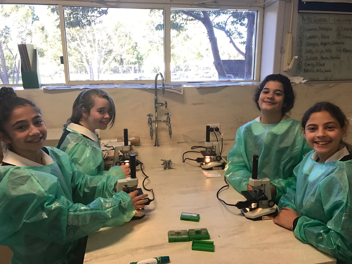 Year 6 using their scientific skills to investigate malaria. <a href="/SSCommunicate/">Santa Sabina College</a>
