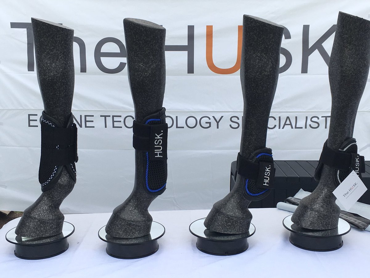 HuskThe's tweet photo. All lined up @BictonArena for #showjumping @EquineHour @HorseHour @Annashowjumper https://t.co/Aw1GvAhaHW
