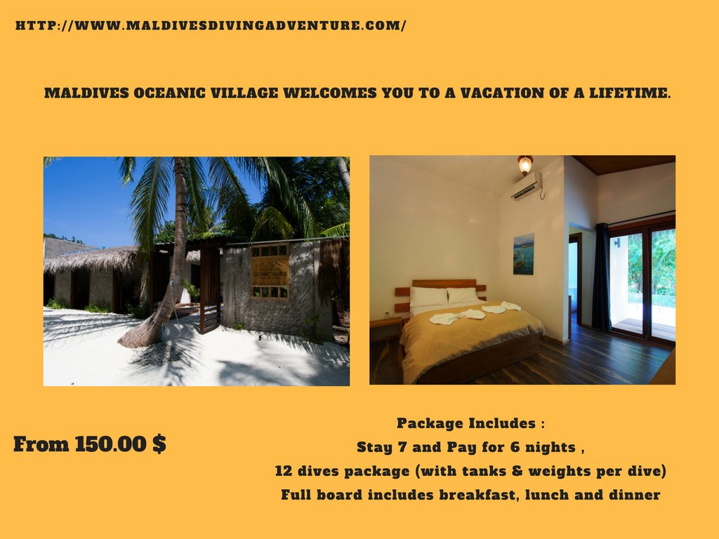 Oceanic Village Maldives invites all dive enthusiasts to explore the underwater wonders. An amazing 12 dives package.bit.ly/2wdo3kn