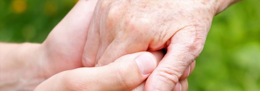 Ik kan de tuin zelf niet goed meer bijhouden, kunnen jullie helpen? hovenierhelpt.nl/zelf-goed-meer…