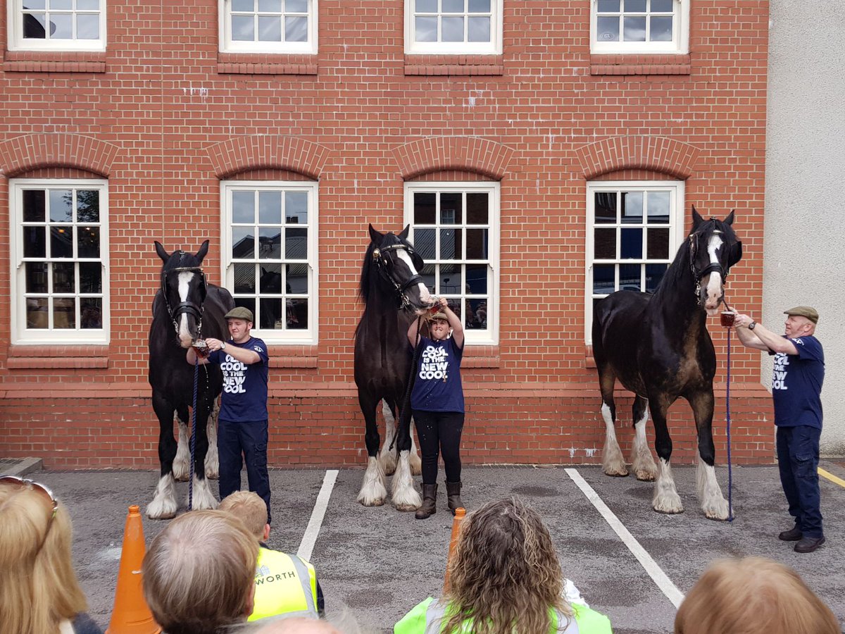 Wadworth's tweet image. Max, Monty and Archie had a cracking send off with a pint at the brewery before galloping off to their gorgeous holiday farm! #shirehorses