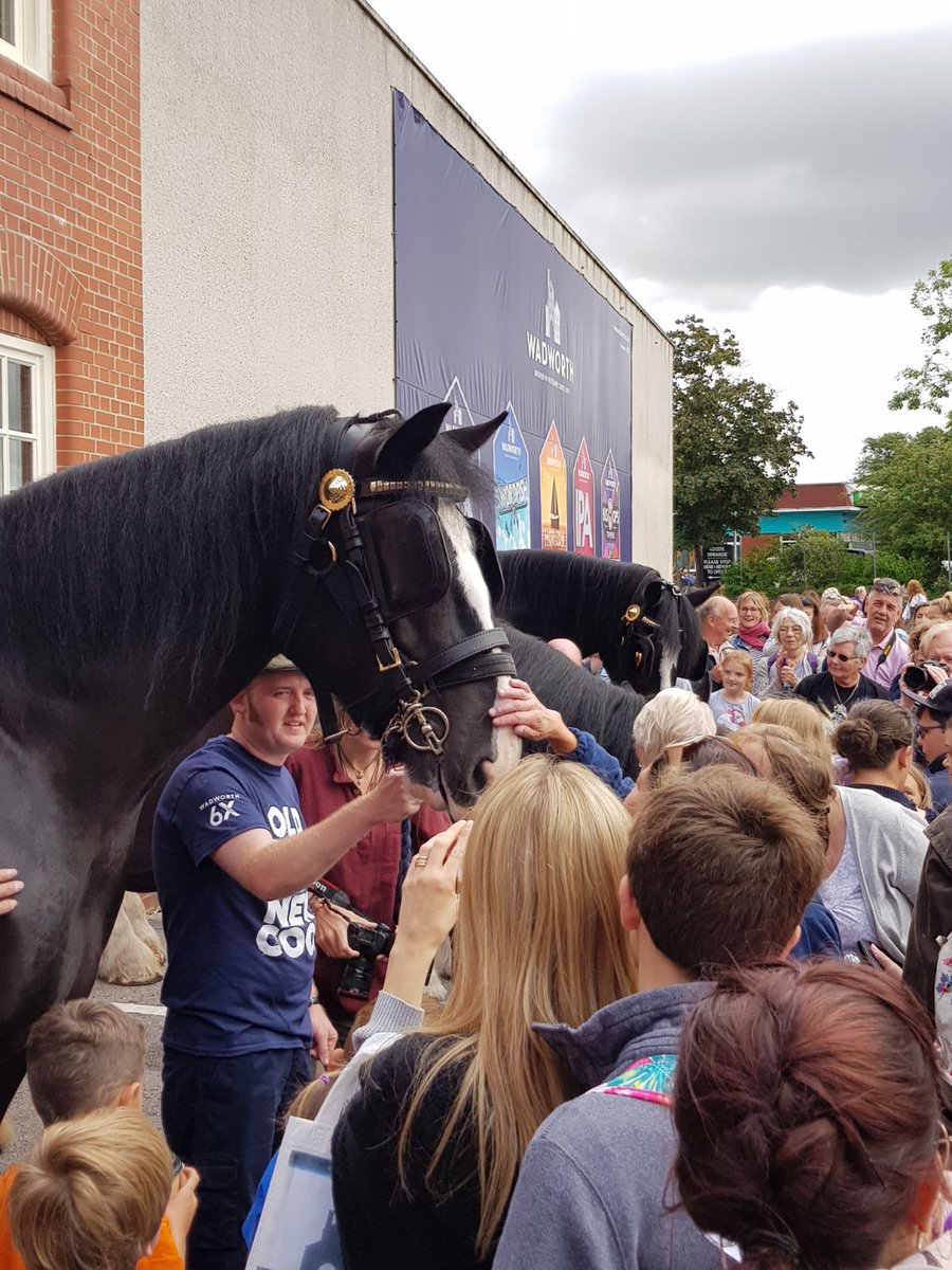 Wadworth's tweet image. Max, Monty and Archie had a cracking send off with a pint at the brewery before galloping off to their gorgeous holiday farm! #shirehorses