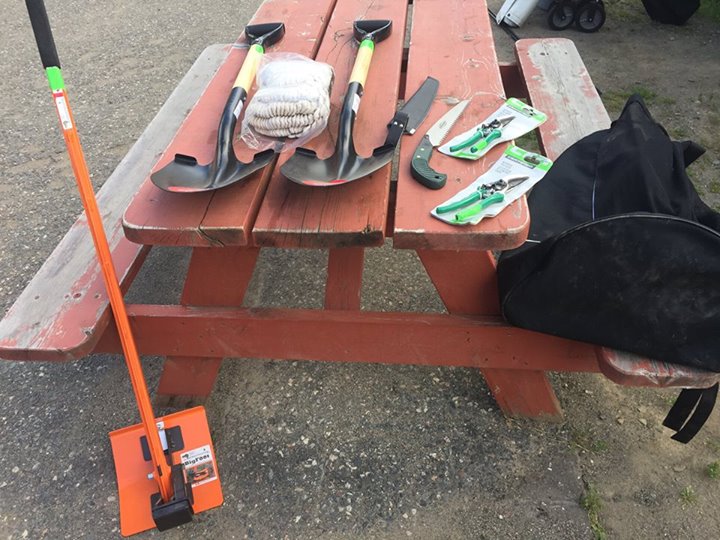 EcoSuperior would like to give you the tools to get rid of invasive plants on your property - bit.ly/2fdBGvM